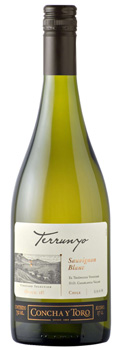 Concha Y Toro Terrunyo Sauvignon Blanc 2012